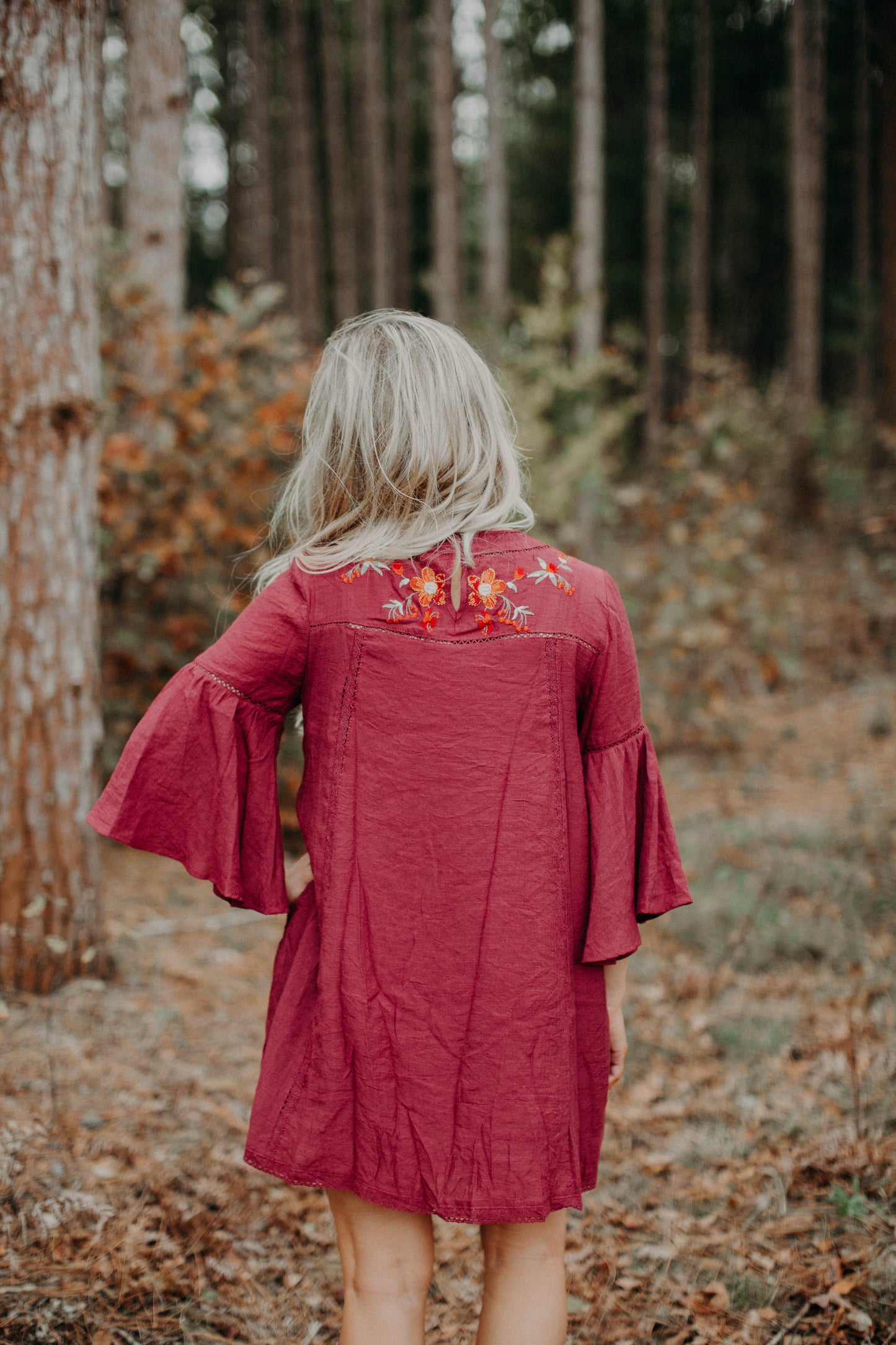 Esther Embroidered Dress